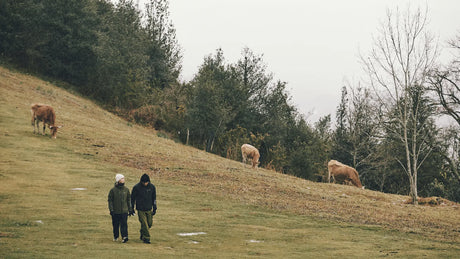 Vêtements chauds en hiver deux marcheurs au pré près des vaches